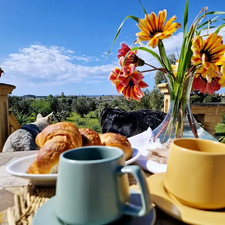 Dimora Del Tramonto 別荘 *